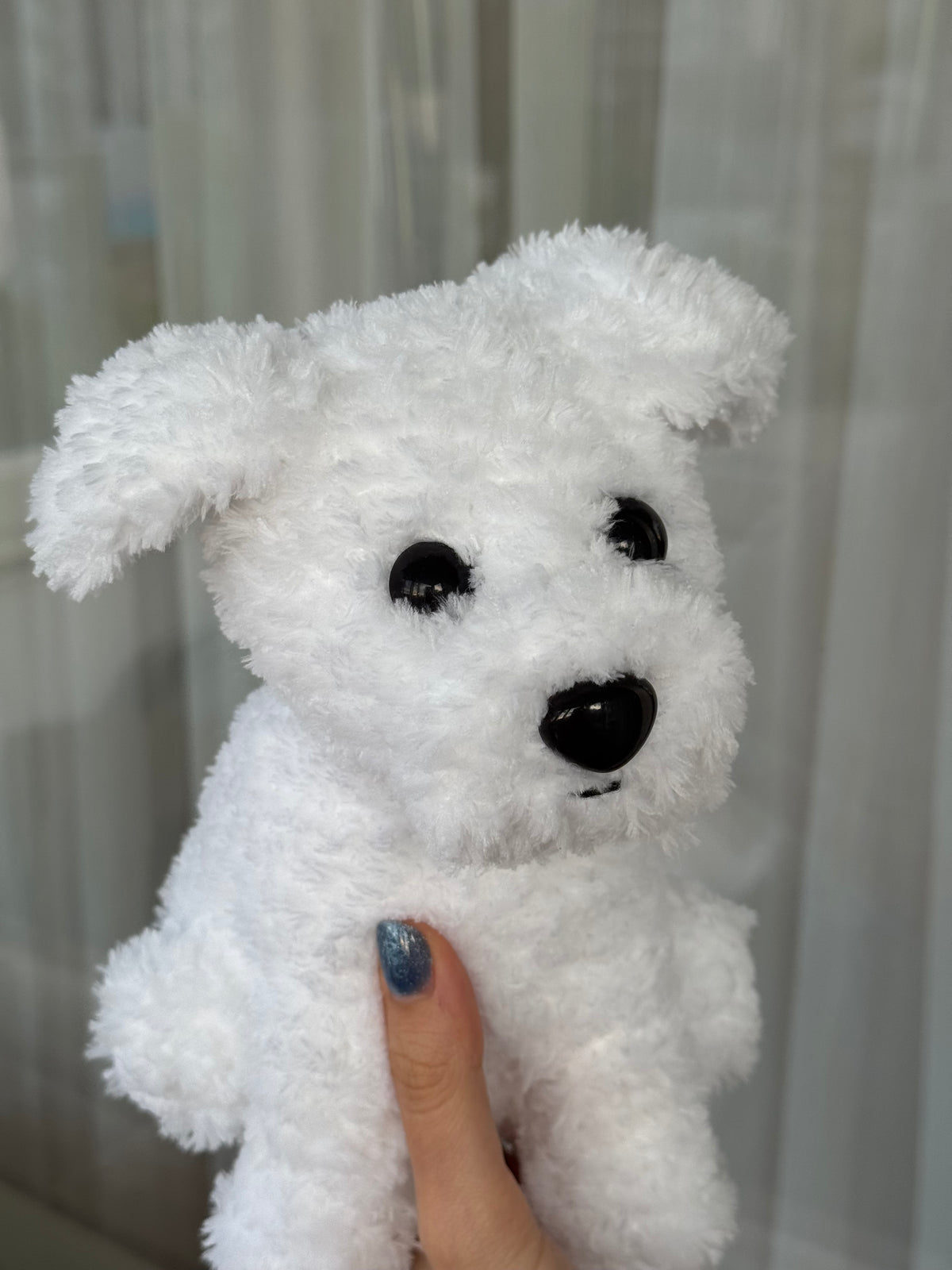 Cățel bichon