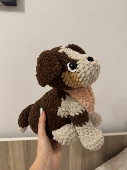 Cățel Border Collie