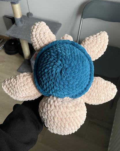 Țestoasă cu carapace colorată