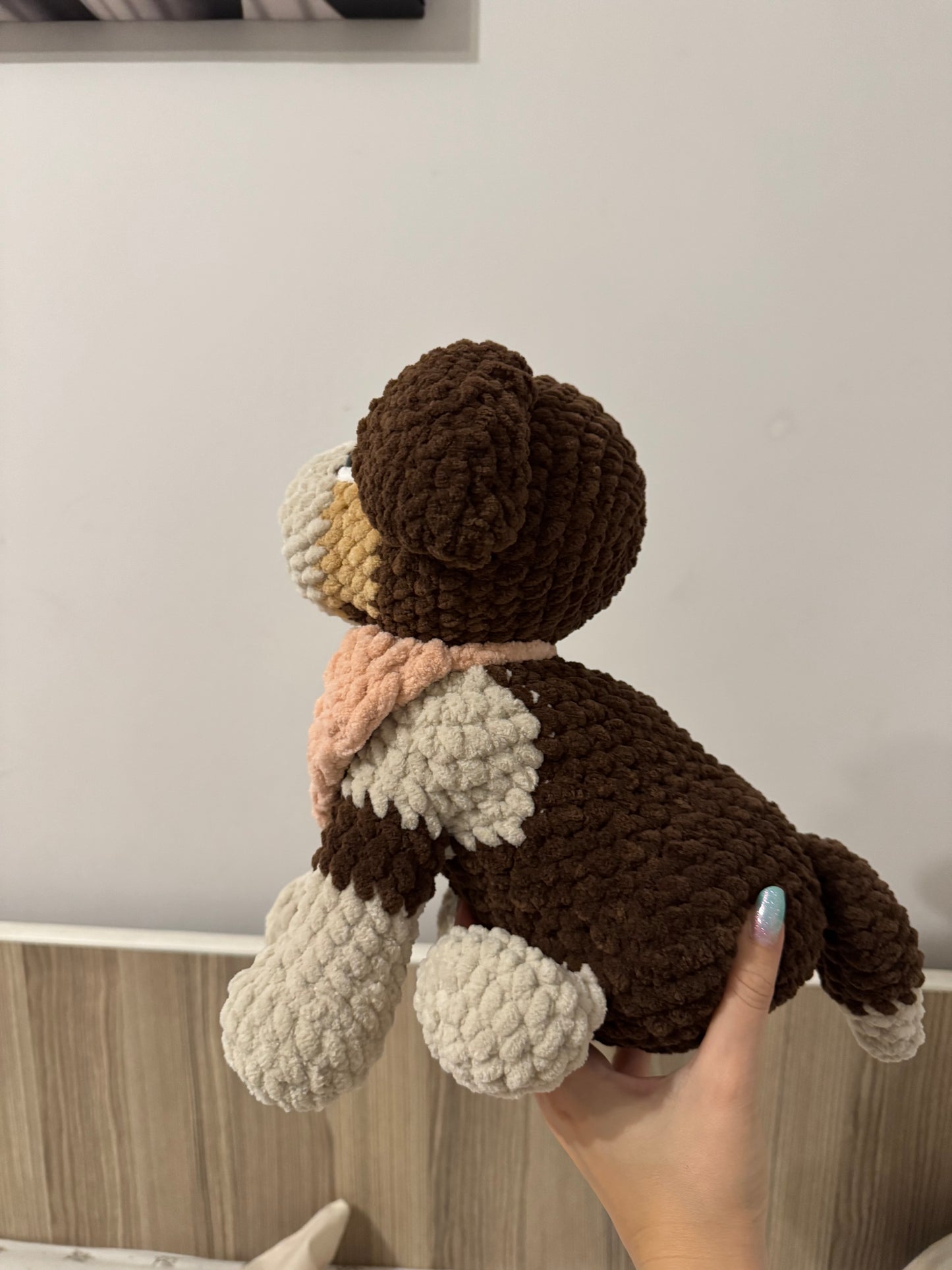 Cățel Border Collie