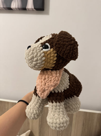 Cățel Border Collie