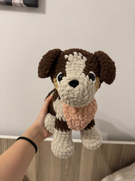 Cățel Border Collie