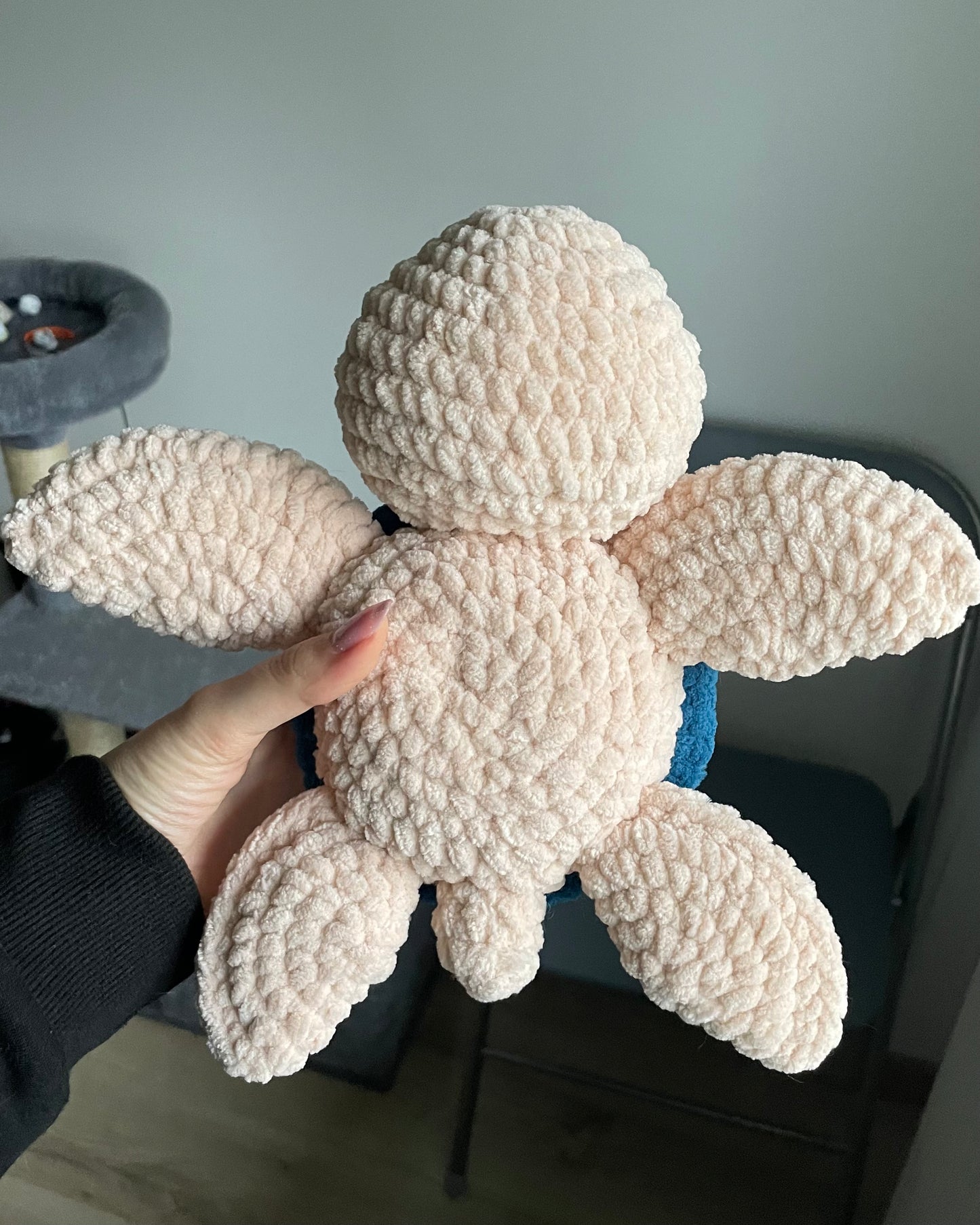 Țestoasă cu carapace colorată