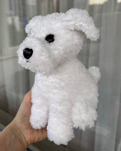 Cățel bichon