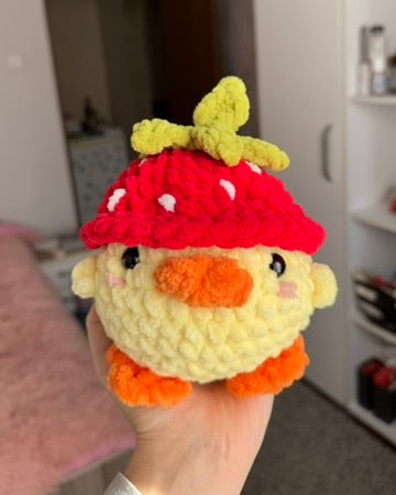 Puișor cu pălărie