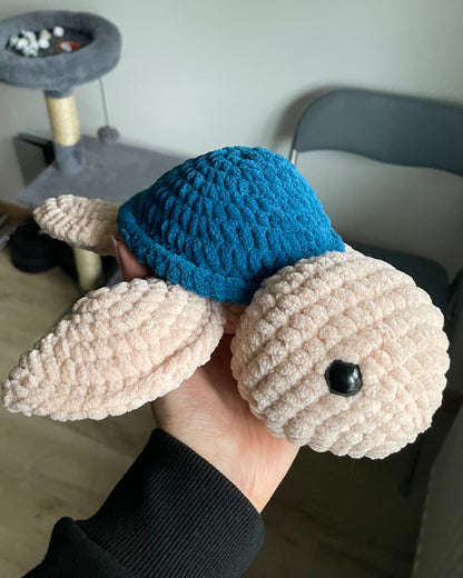 Țestoasă cu carapace colorată