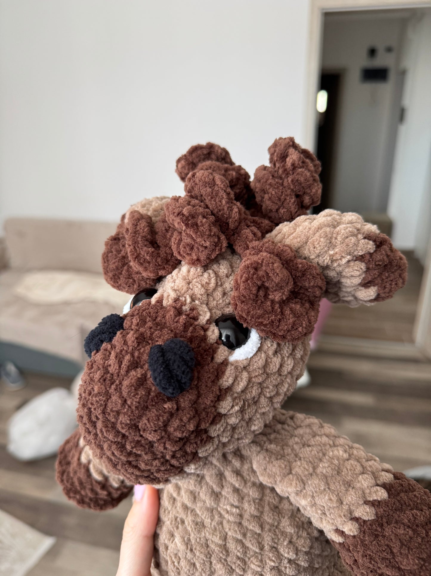 Căluț cârlionțat