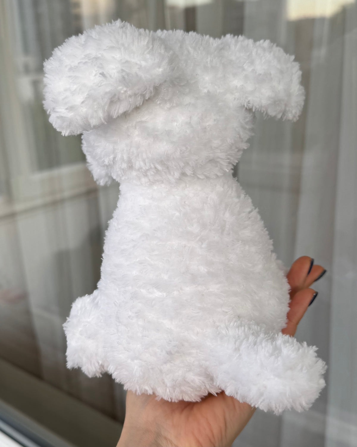 Cățel bichon
