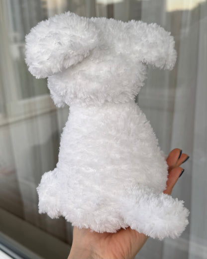 Cățel bichon