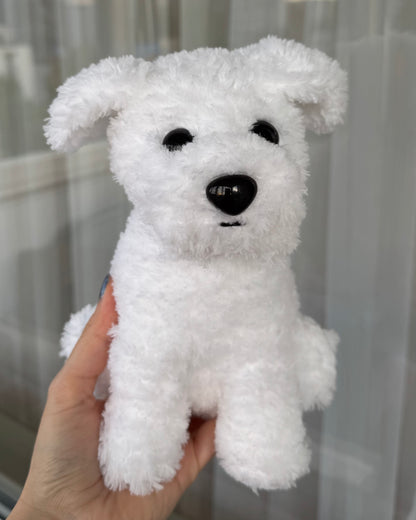 Cățel bichon