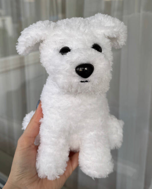 Cățel bichon