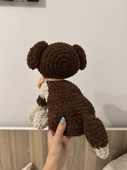 Cățel Border Collie