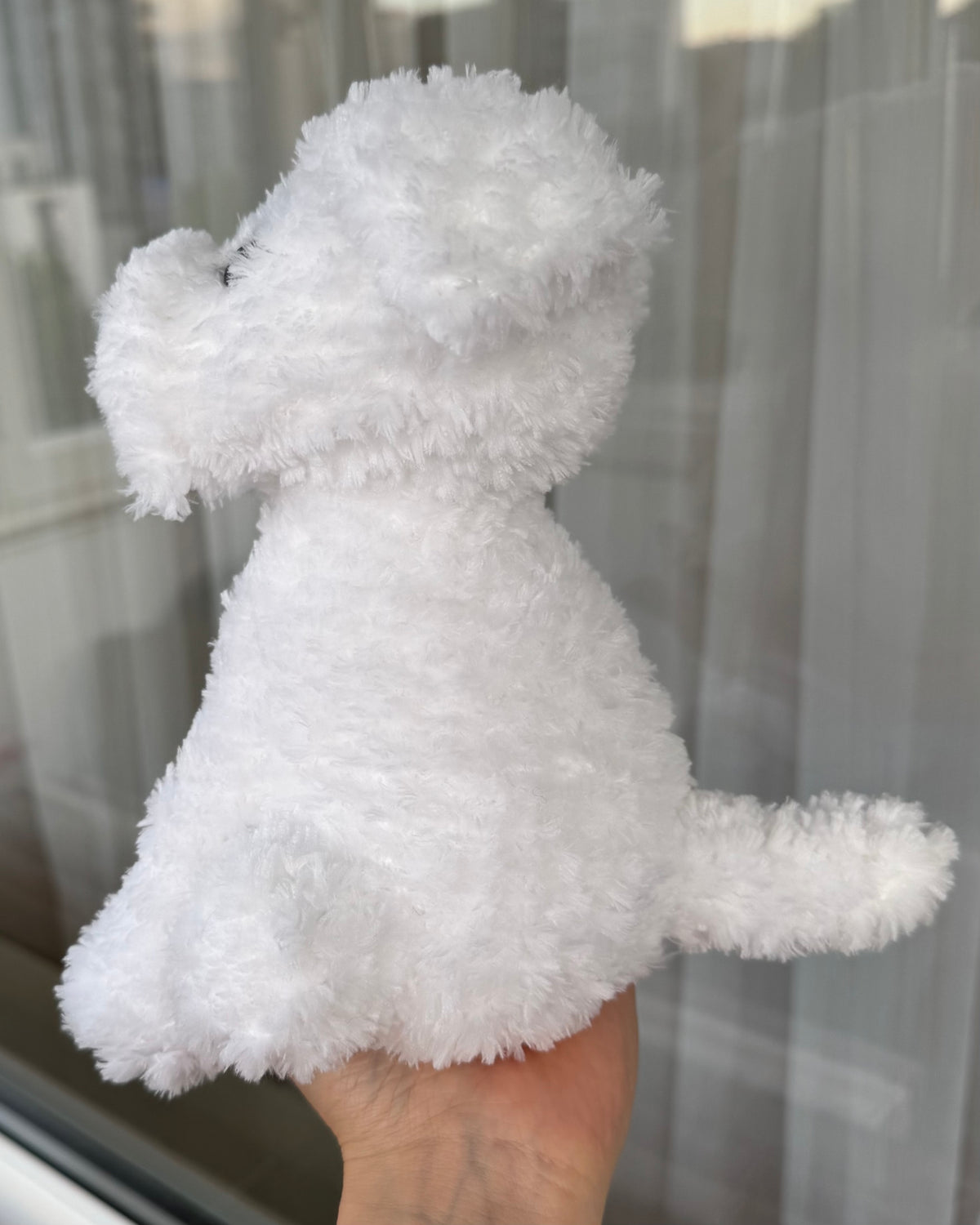 Cățel bichon