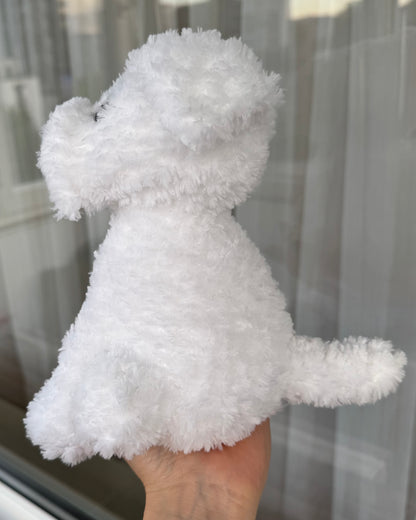 Cățel bichon