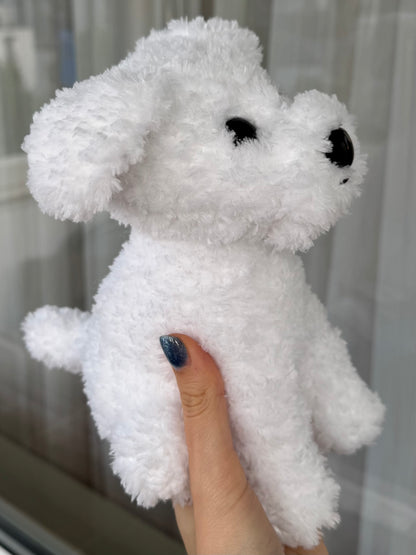 Cățel bichon